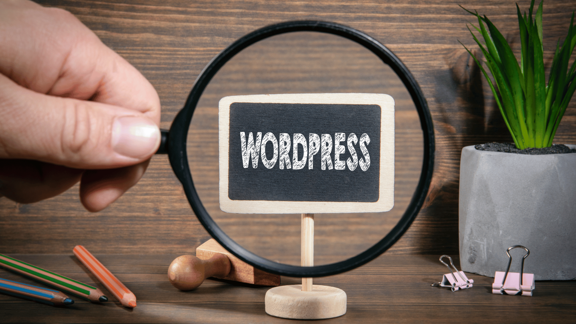 WordPress Website Design & Support  Service